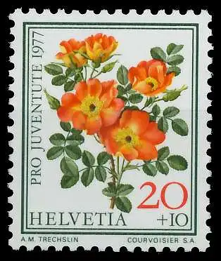 SCHWEIZ PRO JUVENTUTE Nr 1112 postfrisch S13EF9A