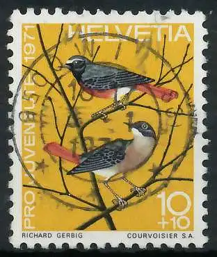 SCHWEIZ PRO JUVENTUTE Nr 960 zentrisch gestempelt 6A3A82