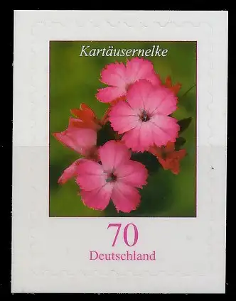 BRD BUND DS BLUMEN Nr 2716w postfrisch 7128EA