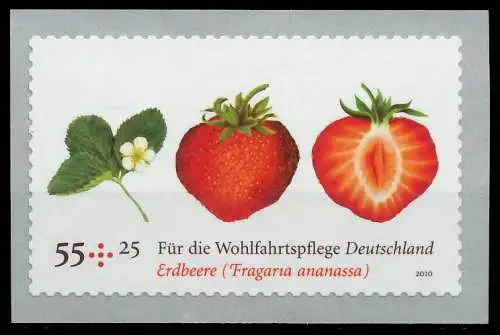 BRD BUND 2010 Nr 2777 postfrisch S371E02