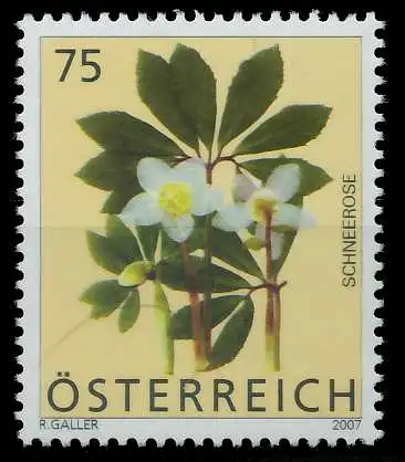 ÖSTERREICH 2007 Nr 2632 postfrisch S37DCCA