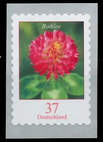 BRD BUND DS BLUMEN Nr 3663 postfrisch S12C9E2