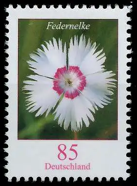 BRD BUND DS BLUMEN Nr 3116 postfrisch 53ACE6