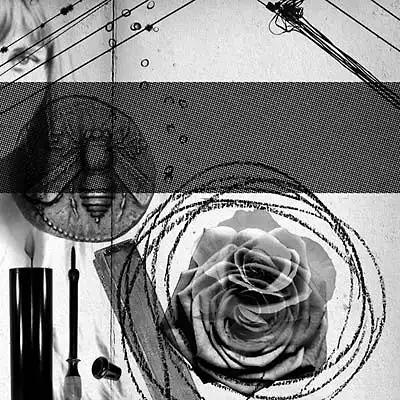 12inch - Demdike Stare Elemental Part Three: Rose