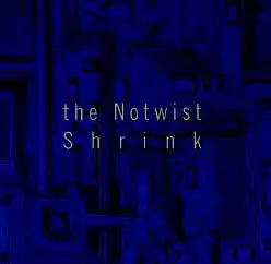 CD - Notwist,The Shrink