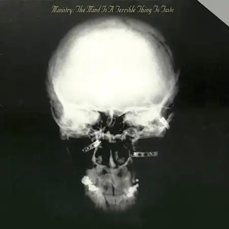LP - Ministry The Mind Is A Terrible Thing To Taste