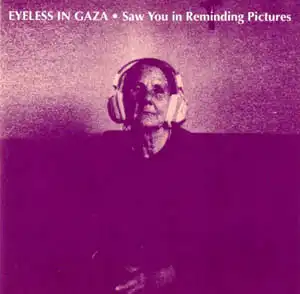 CD - Eyeless In Gaza Saw You In Reminding Pictures