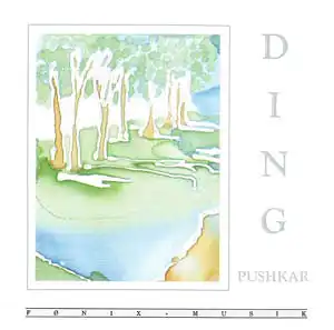 CD - Pushkar Ding