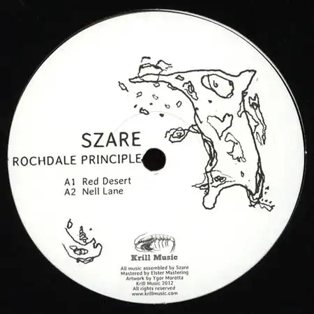 12inch - Szare Rochdale Principle EP