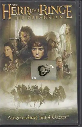 Der Herr der Ringe, Die Gefährten