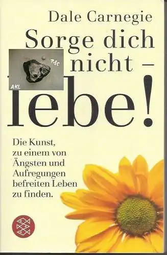 Dale Carnegie: Sorge dich nicht lebe. 