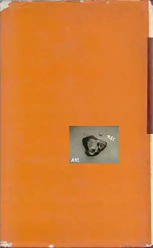 Stanislaw Waupschassow: Vierzig Jahre in der sowjetischen Aufklärung. 