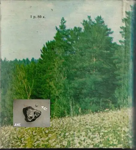 Die Begegnung mit der Natur, russisch. 