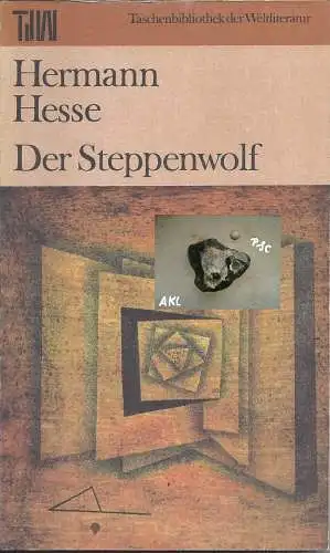 Hermann Hesse: Der Steppenwolf. 