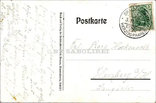 [Echtfotokarte farbig] Fest-Postkarte, Zum Einzug unseres Herzogpaares in Braunschweig, 3. November 1913. 