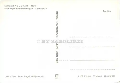 [Echtfotokarte schwarz/weiß] Luftkurort Neustadt (Harz). 