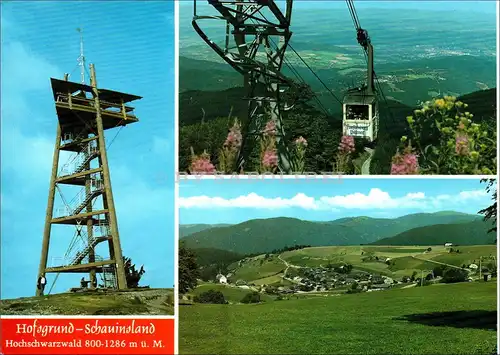 [Echtfotokarte farbig] Hofgrund-Schauinsland, Hochschwarzwald 800-1286 m ü. M. 