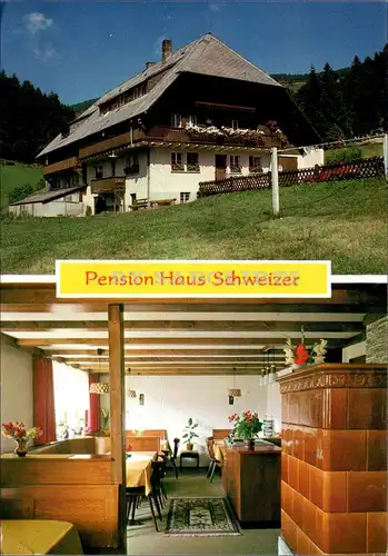 [Echtfotokarte farbig] Pension Haus Schweizer. 