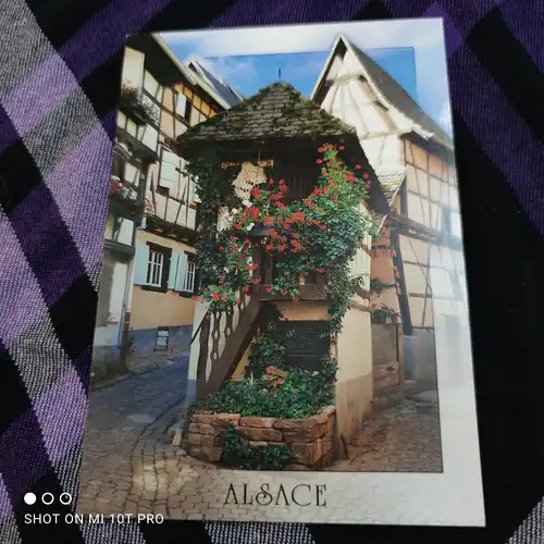 [Echtfotokarte farbig] Au Pays des Cigognes
Equisheim. 