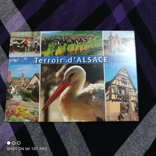 [Echtfotokarte farbig] Terror d'Alsace. 