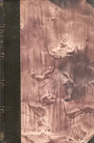 Bauer, Curt: Aesthetik des Lichts. 