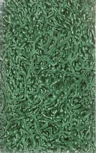 Wiskott, Wilhelm Gottfried: Leben, Leiden und Schiksale des zwar noch lebenden, aber durch Drangsale der Verhängnisse so leidenden Kaufmanns Wilhelm Gottfried Wiskott von Dortmund, zur.. 