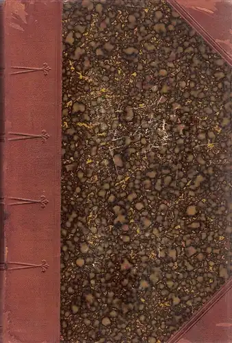 Leske, Franz / Loewenfeld, W. (u.a.) (Hrsg.): Die Rechtsverfolgung im internationalen Verkehr. Darstellung der Justizorganisation, des Civilprozessrechts, des Konkursrechts, der Erbschaftsregulierung und der Konsulargerichtsbarkeit in.. 