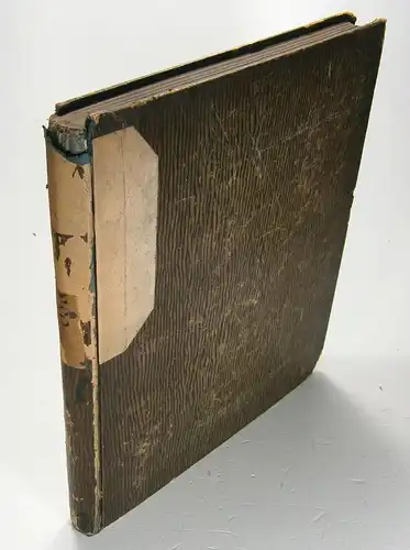 Ohne Autor: Gesetzes- und Verordnungs-Blatt für das Großherzogthum Baden. Jahrgang 1880. Nr. I bis XL. 