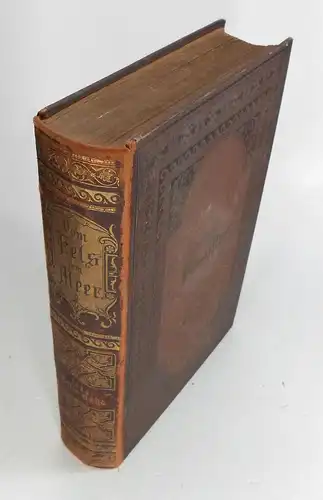 Div. Autoren: Vom Fels zum Meer. Spemann's Illustrirte Zeitschrift für das Deutsche Haus. Erster Band - Oktober 1883 bis März 1884. 