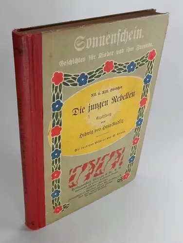 Haza-Radlitz, Hedwig von: Die jungen Rebellen. Erzählung. Mit farbigen Bildern von M. Annen. 