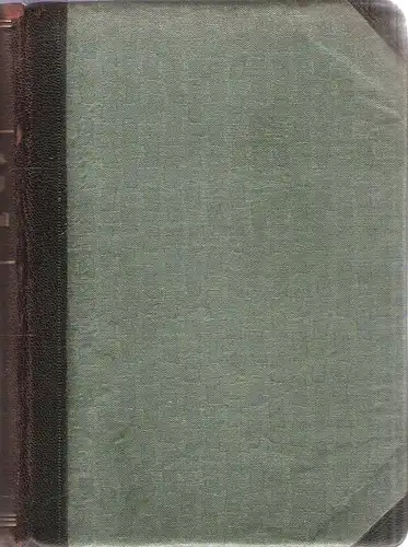 Riesch, Helene: Frauengeist der Vergangenheit. Biographisch-literarische Studien. Mit 16 Bildern. 