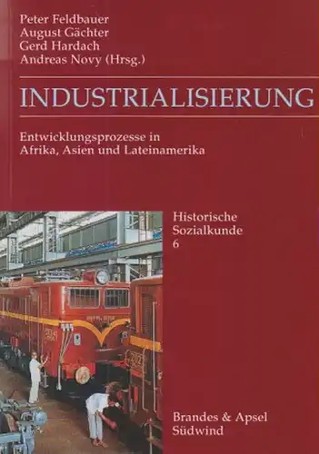 Feldbauer, Peter (Hrsg.): Industrialisierung. Entwicklungsprozesse in Afrika, Asien und Lateinamerika. (Historische Sozialkunde ; 6). 