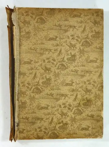 Oberländer (Rehfus-Oberländer): Durch norwegische Jagdgründe. Jagd- und Reisebilder aus dem hohen Norden. 