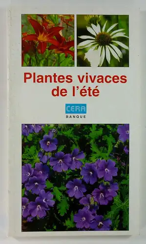 Bogaert, Hendrik van: Plantes vivaces de l'été. 