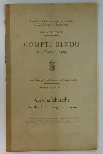 Grossh. Luxbg. Unfallversicherungsgenossenschaft / Gewerbliche Abteilung: Geschäftsbericht für das Rechungsjahr 1929. Compte Rendu de l'Exercice 1929. 