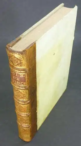 Kolb, Gregor: Series Episcoporum Archiepiscoporum Et Electorum Moguntinorum, Trevirensium Et Coloniensium: Unà cum Reflexionibvs Historicis Contra Ioannem Hübnerum & alios Scriptores Heterodoxos &c. Sub Auspicio.. 