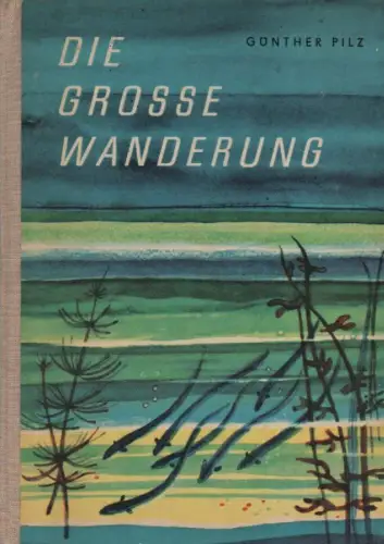 Pilz, Günther: Die grosse Wanderung. Eine Plauderei über das Leben der Aale. 