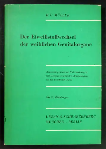 Müller, Heinrich Günther: Der Eiweißstoffwechsel der weiblichen Genitalorgane. Autoradiographische Untersuchungen mit Isotopen-markierten Aminosäuren an der weiblichen Ratte. 