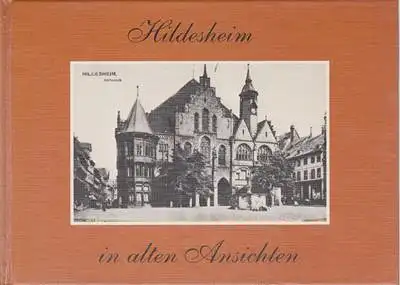 Hildesheim in alten Ansichten