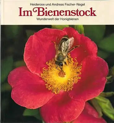 Fischer-Nagel, Heiderose und Andreas: Im Bienenstock - Wunderwelt der Honigbienen. 