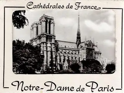 Cathédrales de France - Notre-Dame de Paris - 20 Photos. 