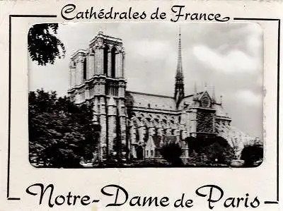 Cathédrales de France - Notre-Dame de Paris - 20 Photos