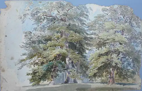 Deutscher Aquarellmaler 1. Drittel 19. Jahrhundert,, Baumstudie mit alten Eichen. Aquarell