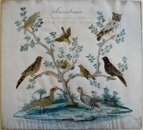 Gezeichneter Stammbaum mit verschiedenen Vögeln. Aquarell und Federn