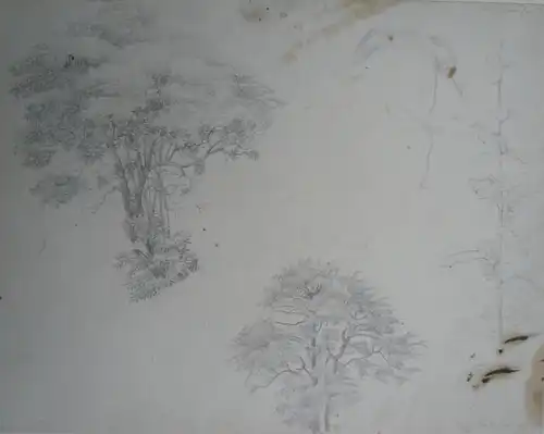 Hübner, Julius (1806 Oels/Schlesien - 1882 Loschwitz b. Dresden),, Naturstudien. Bleistift