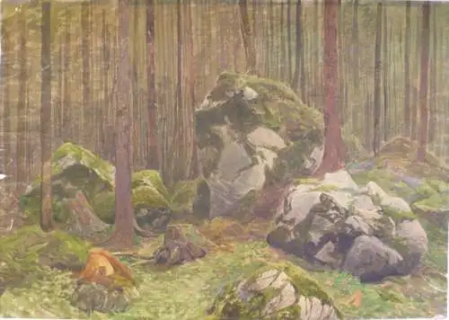 Ruths, Valentin (1825 - Hamburg - 1905),, Studie Untergehölz in der Uckermark. Aquarell