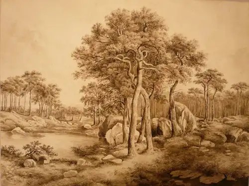 Zeichner des 19. Jahrhunderts,, Landschaft am Waldrand mit hohen Bäumen. Tuschpinsel, laviert über Spuren von Bleistift