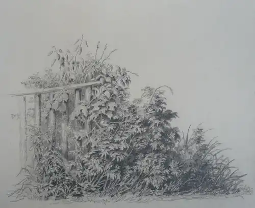 Zeichner des 19. Jahrhunderts,, Naturstudie. Bleistift