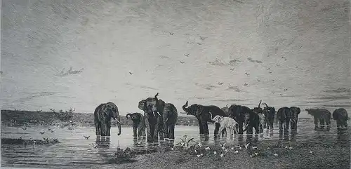 Gaucherel, Leon (1816 - Paris - 1886),, Éléphants d`Afrique. Radierung nach Charles Émile de Tournemine (1812 - Toulon - 1872)