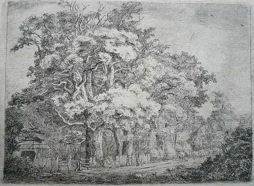 Steinheim, Salomon Ludwig (1789 Bruchhausen (Höxter) - 1866 Zürich, begr. in Altona),, Landschaft mit alten Bäumen und Gehöft. Radierung